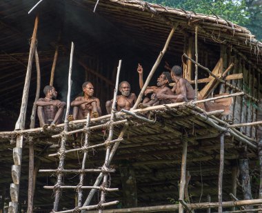 Grup içinde ağaç üzerinde ev Papua Korowai kabilesinin