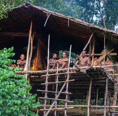 Grup içinde ağaç üzerinde ev Papua Korowai kabilesinin