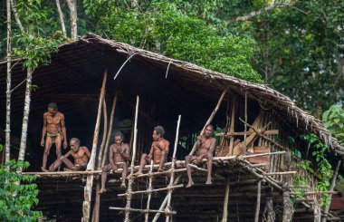 Grup içinde ağaç üzerinde ev Papua Korowai kabilesinin