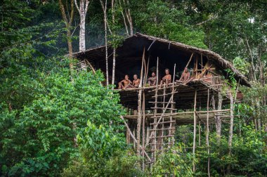 Grup içinde ağaç üzerinde ev Papua Korowai kabilesinin