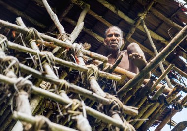Papua Korowai adam kabile içinde ağaç üzerinde ev