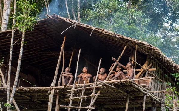 Grupo de Papuan Korowai tribo em casa na árvore — Fotografia de Stock