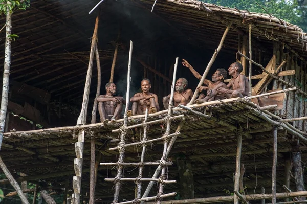 Grupp av papuanska Korowai stam i hus på träd Stockbild