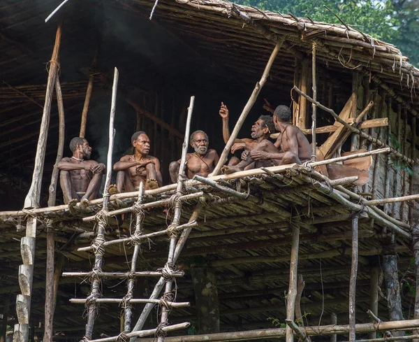 Groupe de la tribu papoue Korowai dans la maison sur l'arbre Images De Stock Libres De Droits