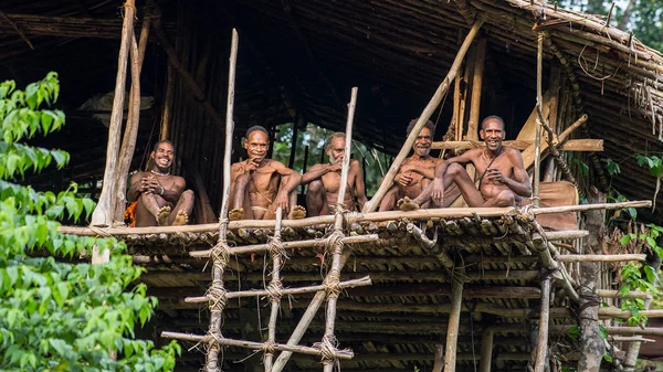 Grupp av papuanska Korowai stam i hus på träd Stockfoto