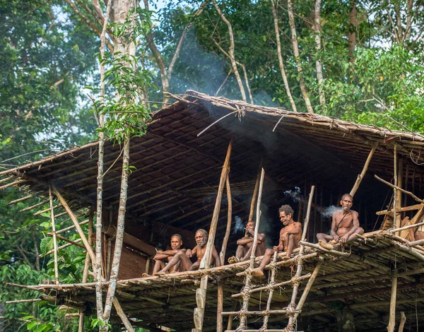 Groupe de la tribu papoue Korowai dans la maison sur l'arbre Photos De Stock Libres De Droits