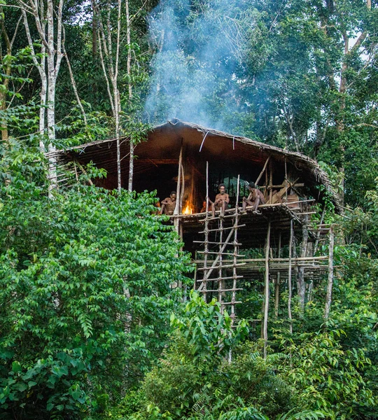 Grupo de la tribu papú Korowai en casa en el árbol Imágenes de stock libres de derechos