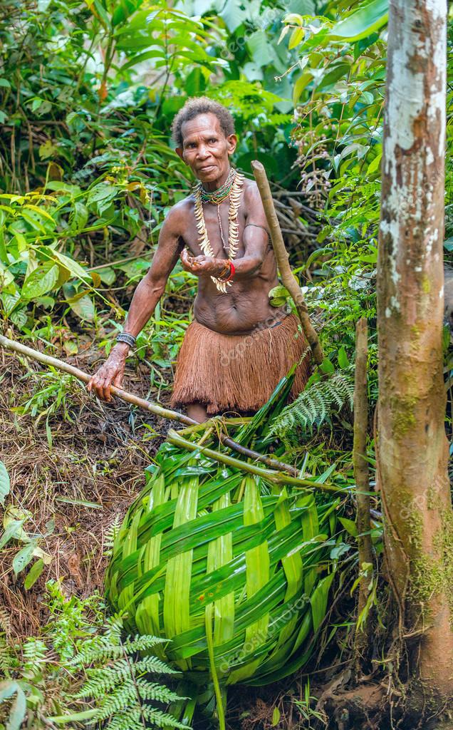 wild tribes of the jungle wild tribes of the jungle