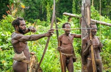 Oklar yayından bir çekim Papua