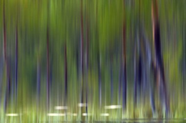 Yeşil bitki su arka plan yansıması. Yeşil Doğal arka plan.