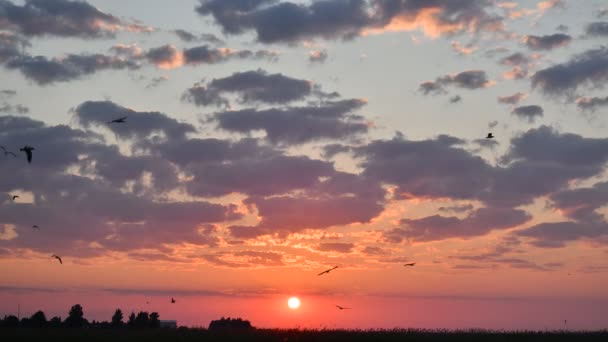 Tiempo Lapso Puesta Sol Amanecer Paisaje Increíble Luz Naturaleza Cielo — Vídeo de stock