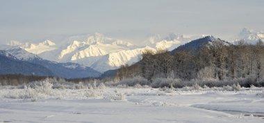 İrtifa dağlar Alaska.