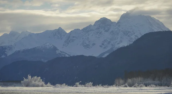Снежные горы Аляски . — стоковое фото