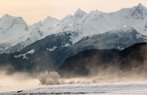 Montanhas cobertas de neve no Alaska . — Fotografia de Stock