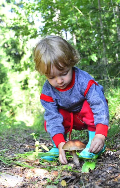 Little girl  and  mushroom — Stock Photo, Image