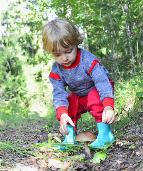 Little girl  and  mushroom — Stock Photo, Image