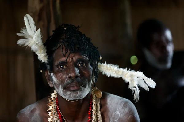 O guerreiro de Asmat de Retrato com uma pintura tradicional e coloração em uma cara . — Fotografia de Stock