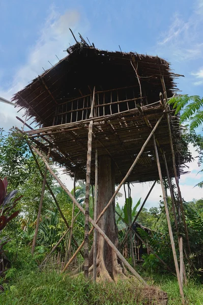 Traditional Koroway house on the tree — Stock Photo, Image
