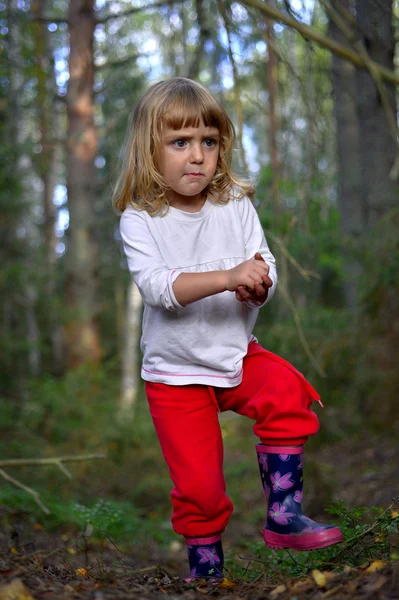 Girl in the  forest — Stock Photo, Image