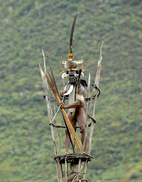 Воин племени Дани Дугам — стоковое фото