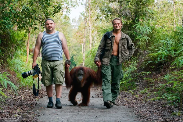 Fotografen wandeling met orang-oetan. — Stockfoto