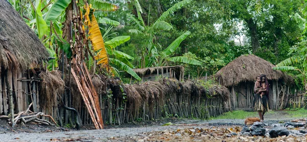 Papua-Frau mit dem Kind — Stockfoto