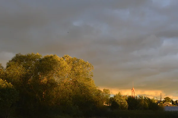 Günbatımı bir ağaçların arkasında — Stok fotoğraf