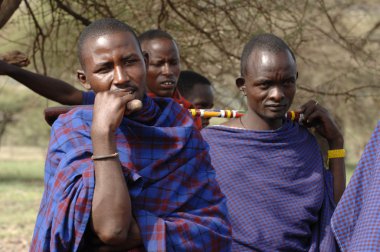 Bir grup portre Masai erkekler.