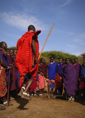 Masai savaşçı dans.