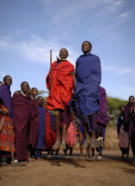 Masai savaşçı dans.