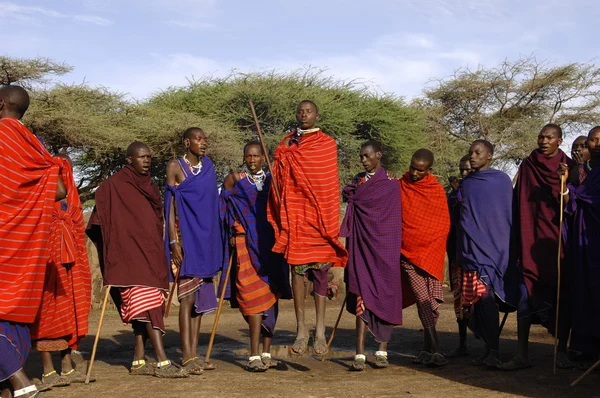 Masai savaşçı dans. — Stok fotoğraf