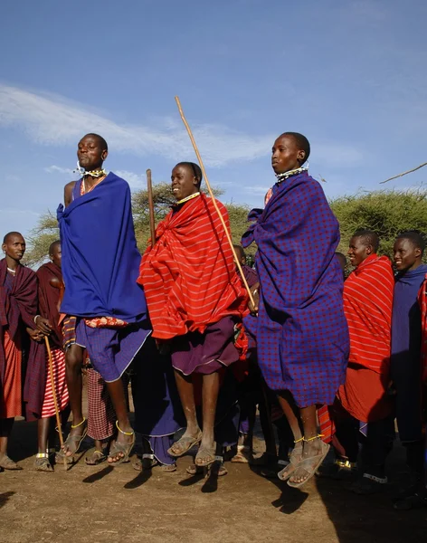 Masai krigare dans. — Stockfoto