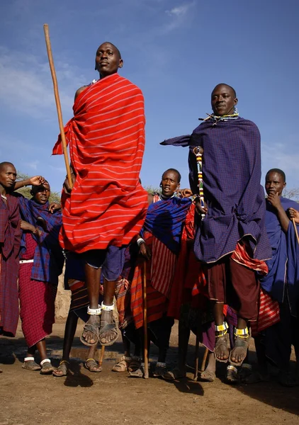 Masajského válečníka tanec. — Stock fotografie