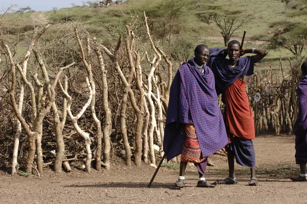 A double portrait maasai men — Stock Photo, Image