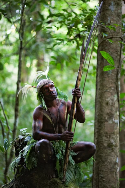 Il guerriero di una tribù papuana di Yafi — Foto Stock