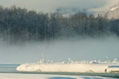 chilkat Vadisi kapsayan kar altında