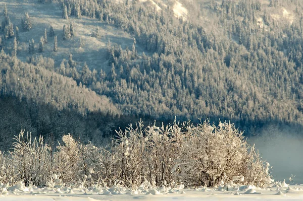 Κοιλάδα chilkat κάτω από μια κάλυψη του χιονιού — Φωτογραφία Αρχείου