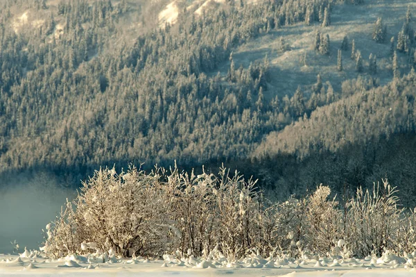 奇尔卡特谷下一层雪 — 图库照片