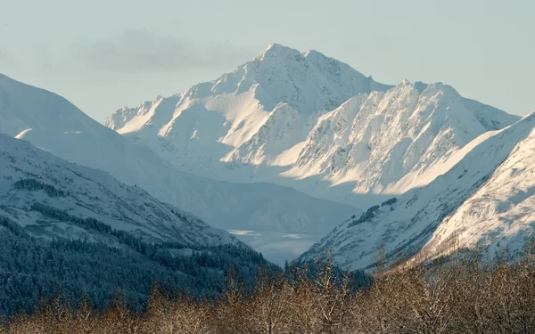 La vallée de Chilkat sous une couche de neige — Photo