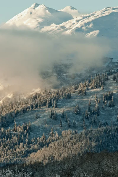 La vallée de Chilkat sous une couche de neige — Photo