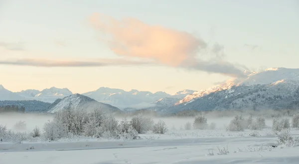 Pod pokryciem śniegu, w dolinie chilkat — Zdjęcie stockowe