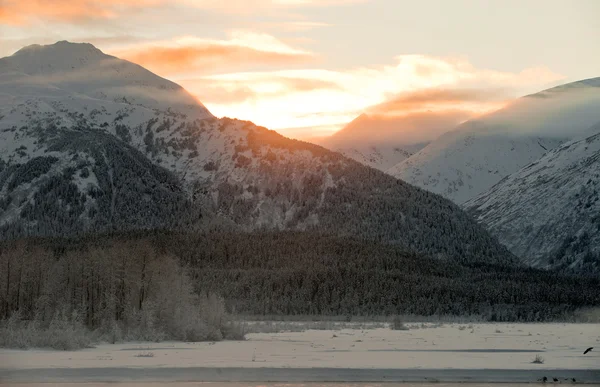 Das chilkat-Tal unter einer Schneedecke — Stockfoto