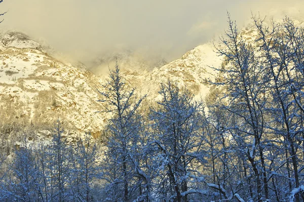 The Chilkat Valley under a covering of snow — Stock Photo, Image