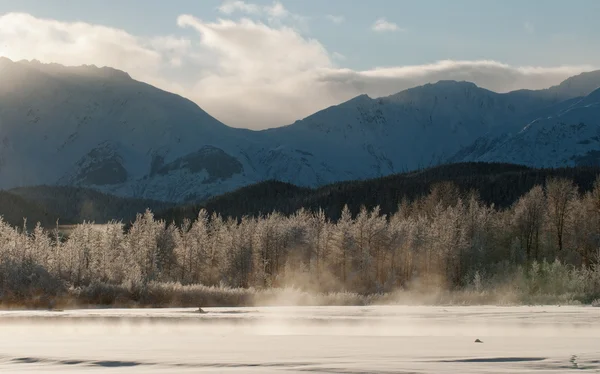 A chilkat-völgy, amely a hó alatt — Stock Fotó