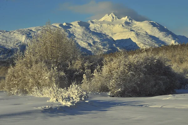 El valle de Chilkat bajo una cubierta de nieve — Foto de Stock