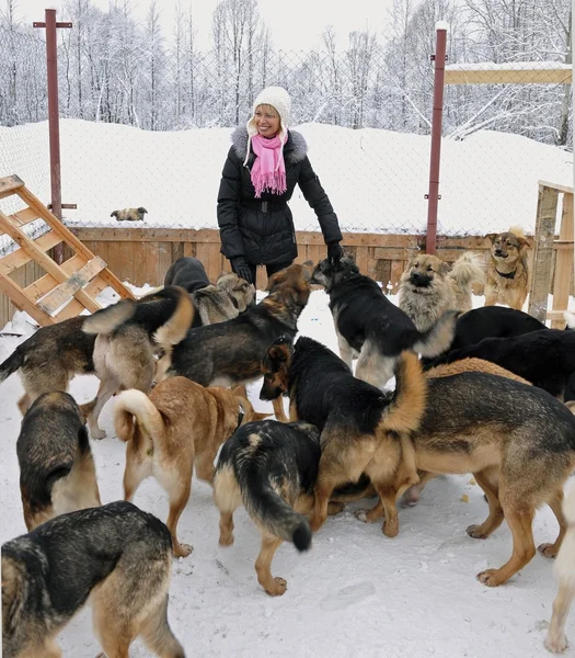 Flickan och hundar — Stockfoto