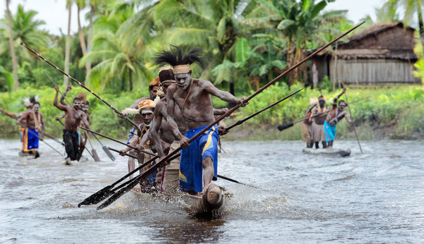 Мужчины-асматы гребут на своих каноэ
