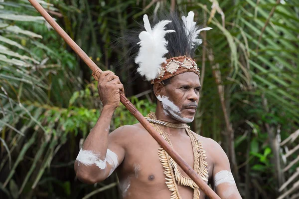 Retrato del guerrero Asmat — Foto de Stock