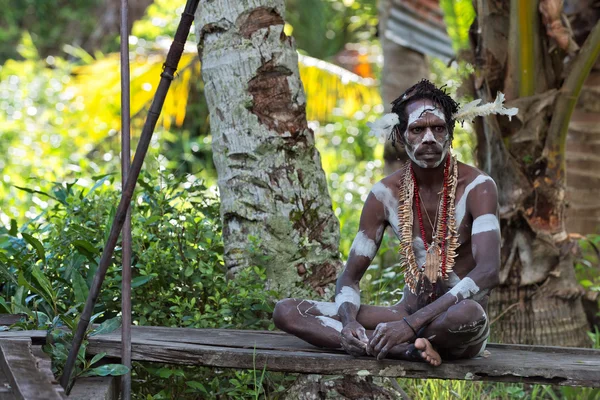 Portrait of the Asmat warrior — Stock Photo, Image