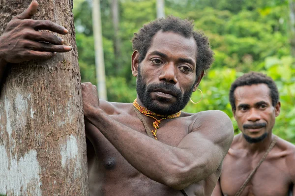 Korowai Kombai (Kolufo) erkek — Stok fotoğraf